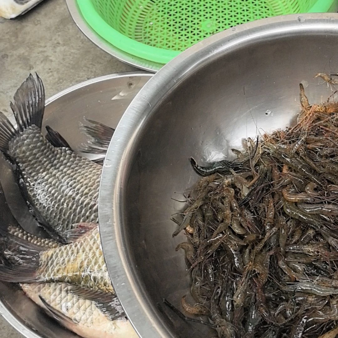 石台小李代购鲫鱼河虾300块