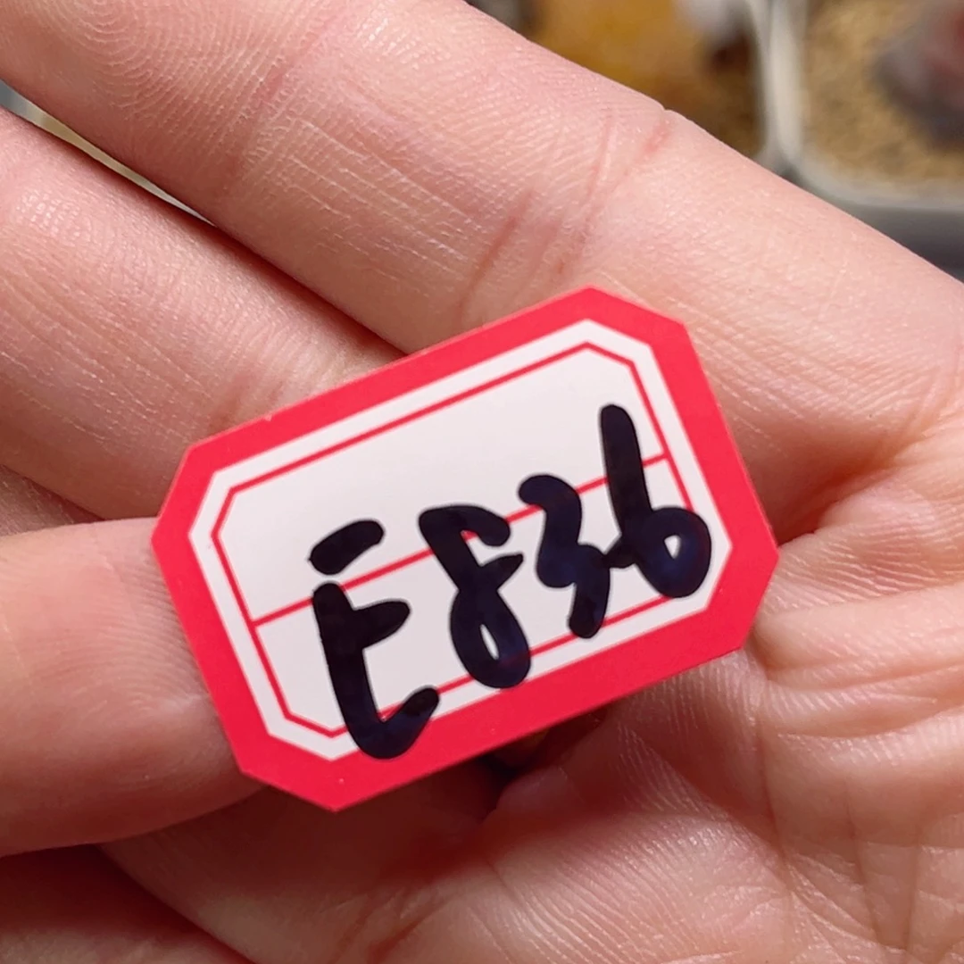 z*E836一物一拍 补差