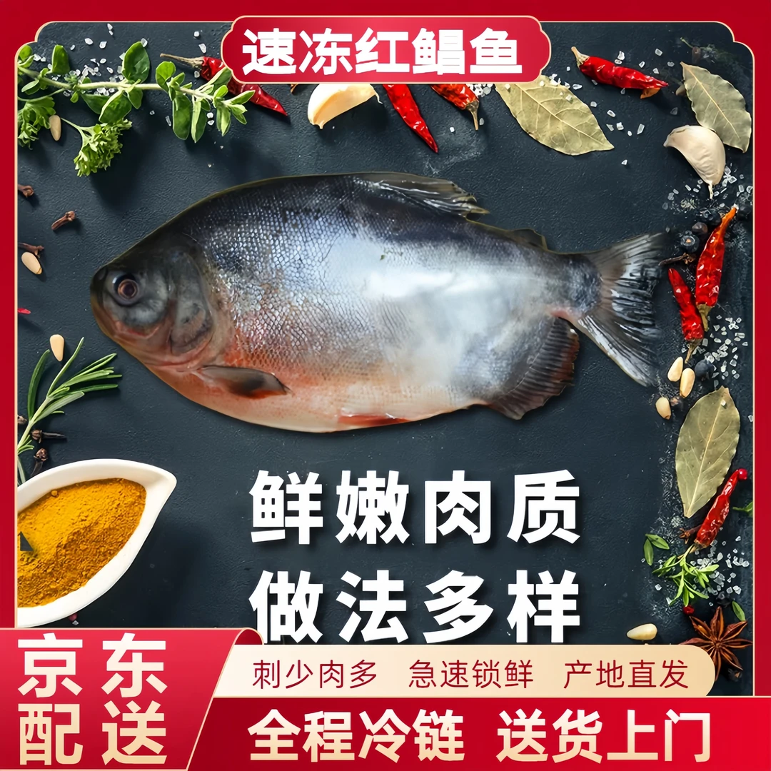 {五斤红鲳鱼}速冻红鲳鱼肉厚刺少大号淡水养殖鲳鱼