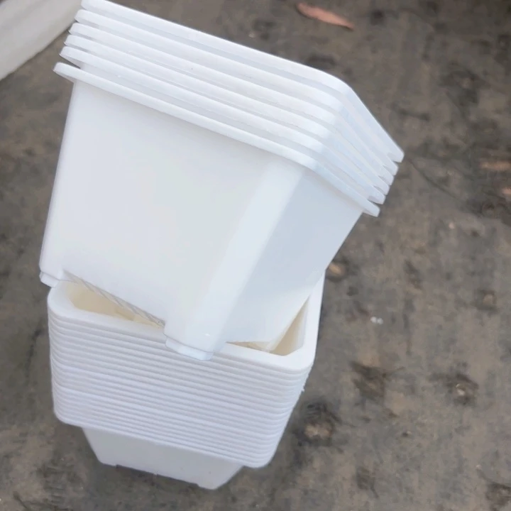 120白方盆11公分高8公分40个