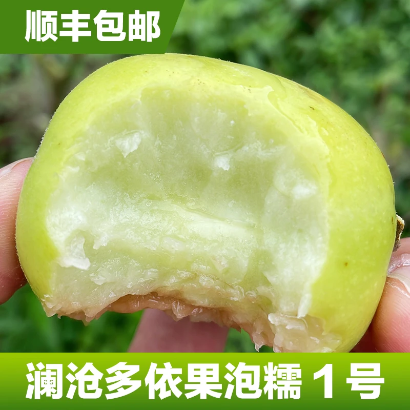 双云臻品多依果糯扎渡嫁接多依果自产自销价格实惠口感好