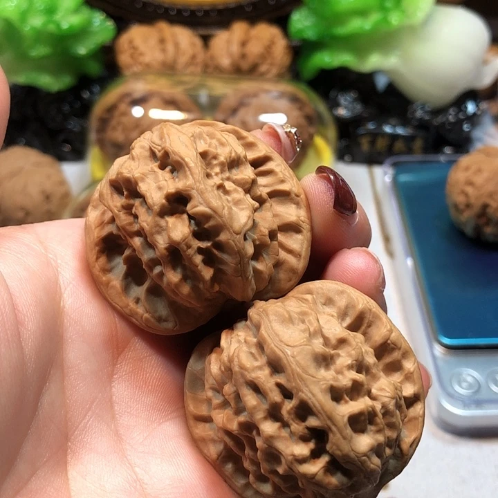 核桃文玩核桃野狼