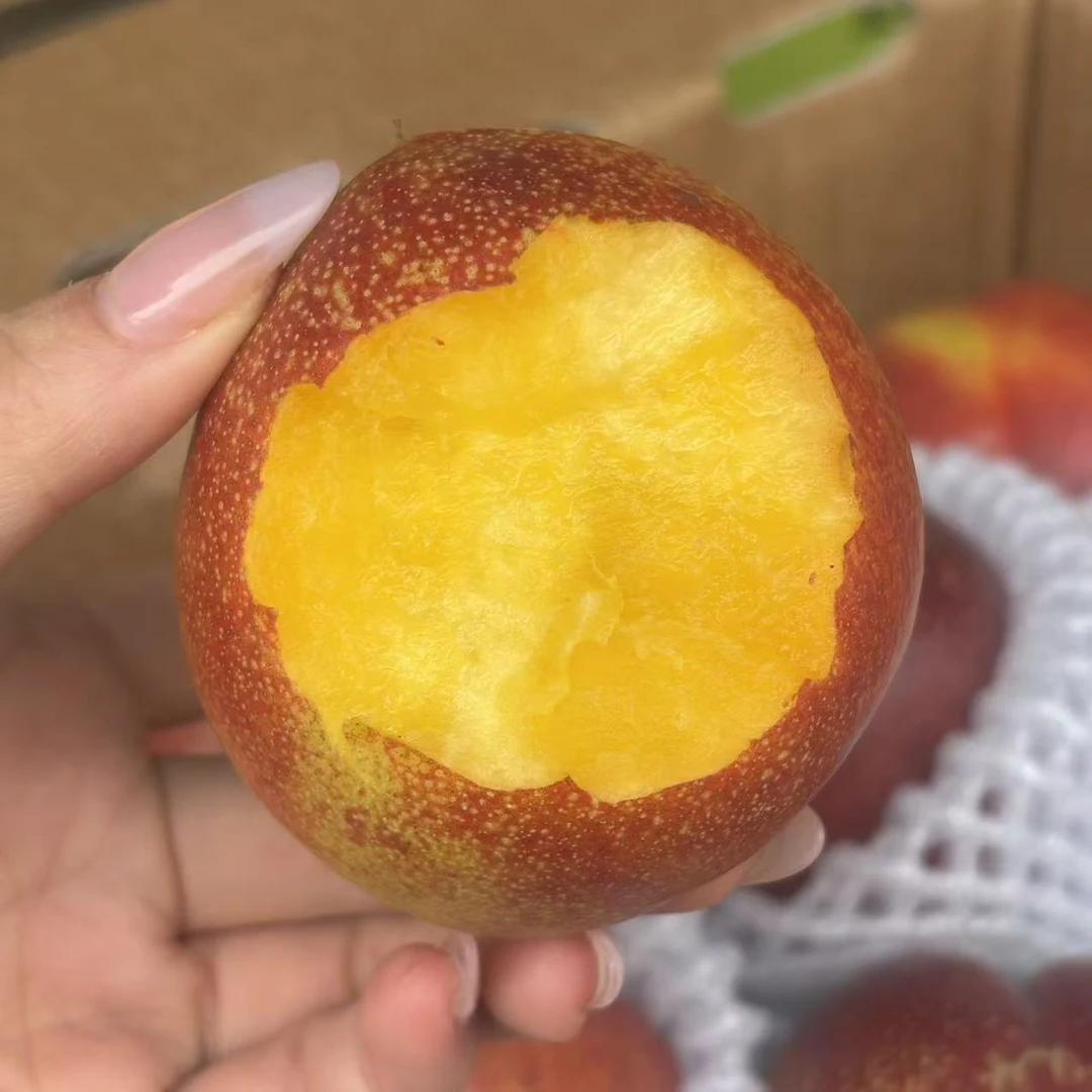 【觅桃】油桃高山种植软硬两吃 味道浓郁