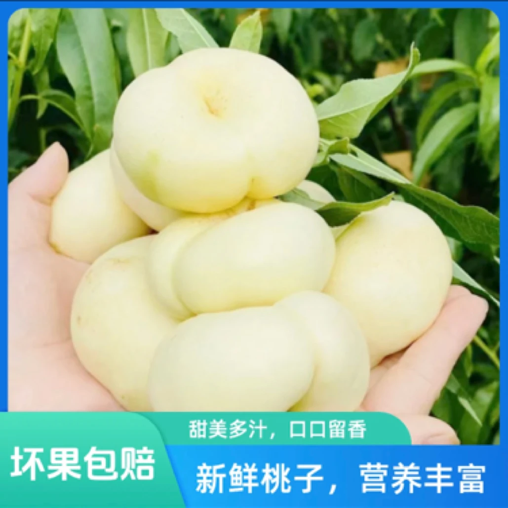【平台推荐】新疆石河子奶油蟠桃,软硬两吃甜度高,轻微裂口不会售后云南省
