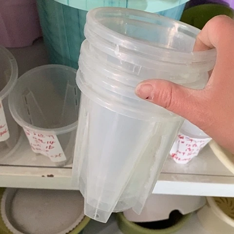 树脂透明口径14带托10个