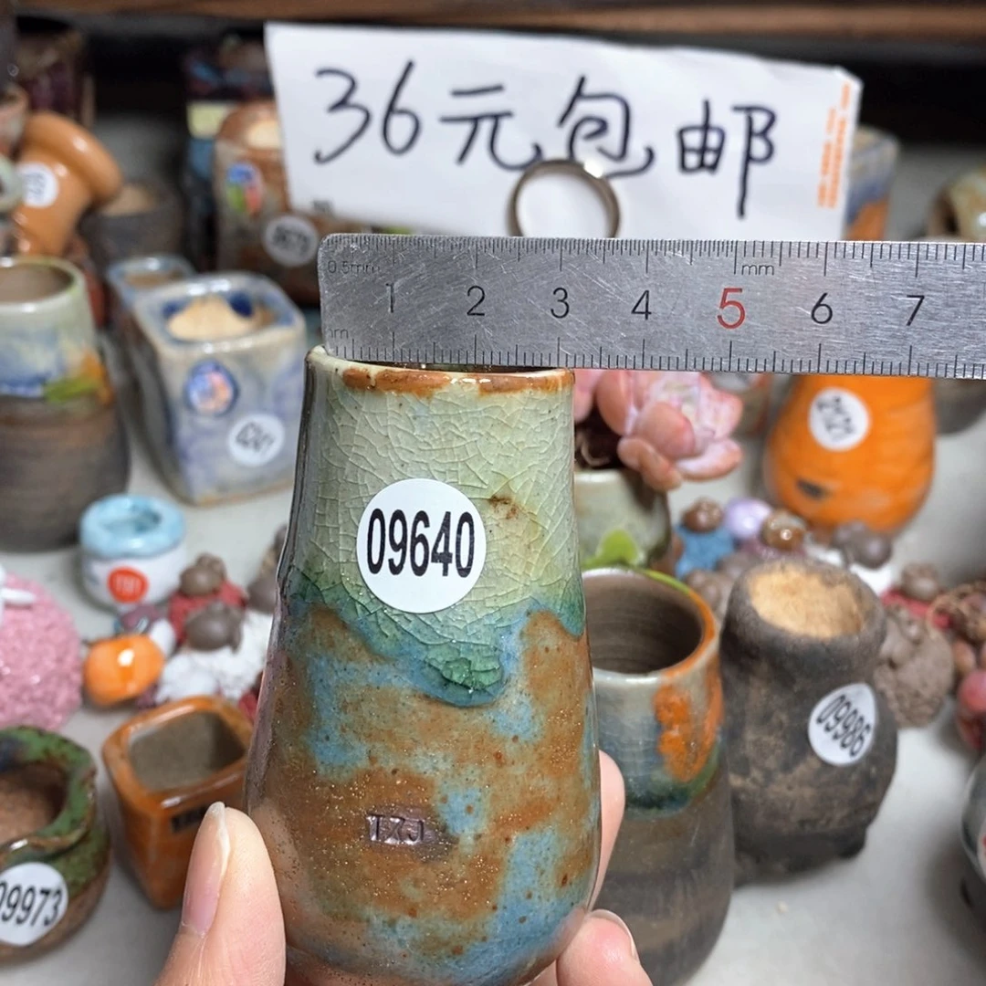 拍5送一个小礼物