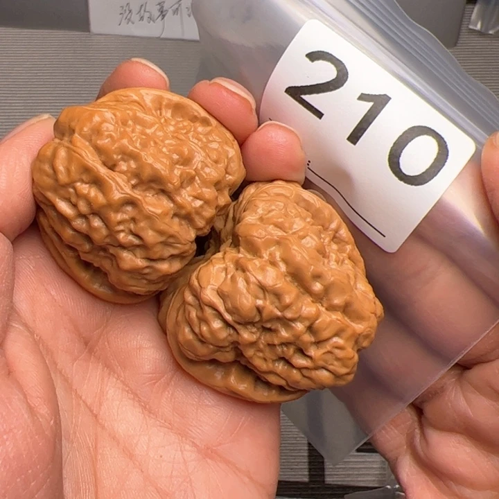 核桃42蛙210号52.5克