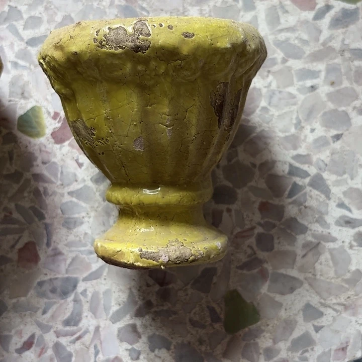 许纯的花房 福利奖杯