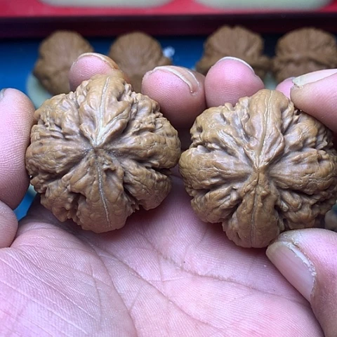 文玩核桃把件青*43尺霸王龙