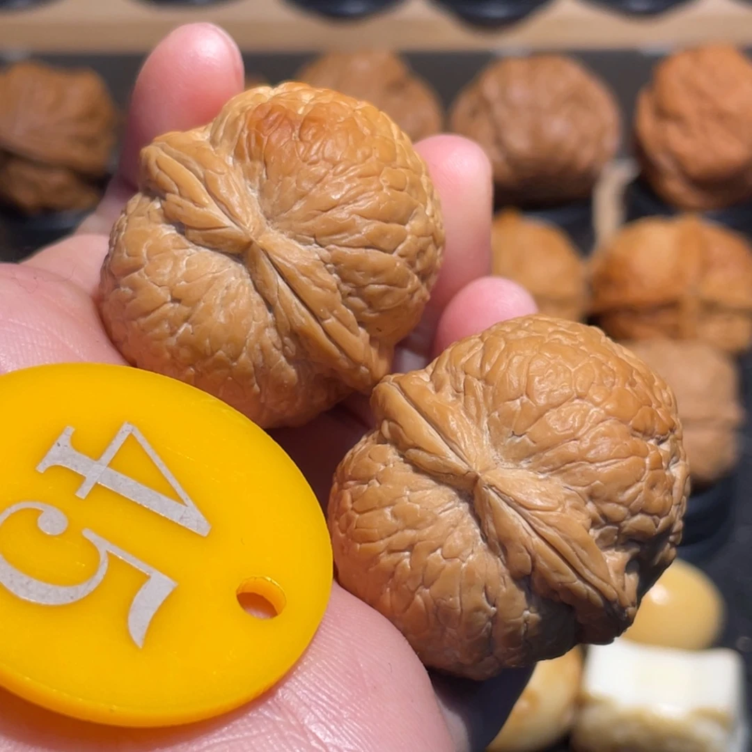 橙***”绝版七彩大西瓜核桃36