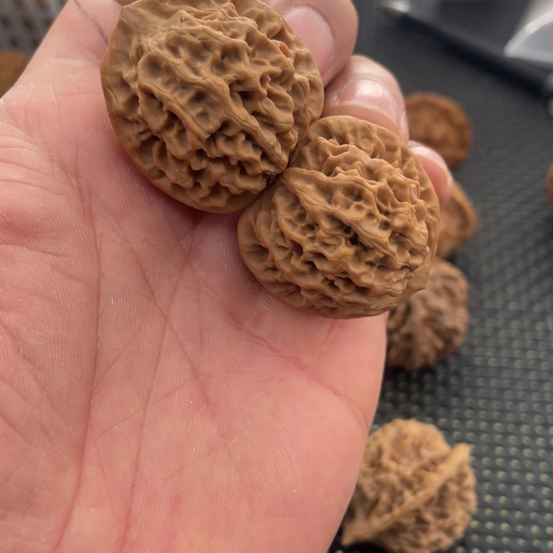 秦岭的小王核桃啊啊啊