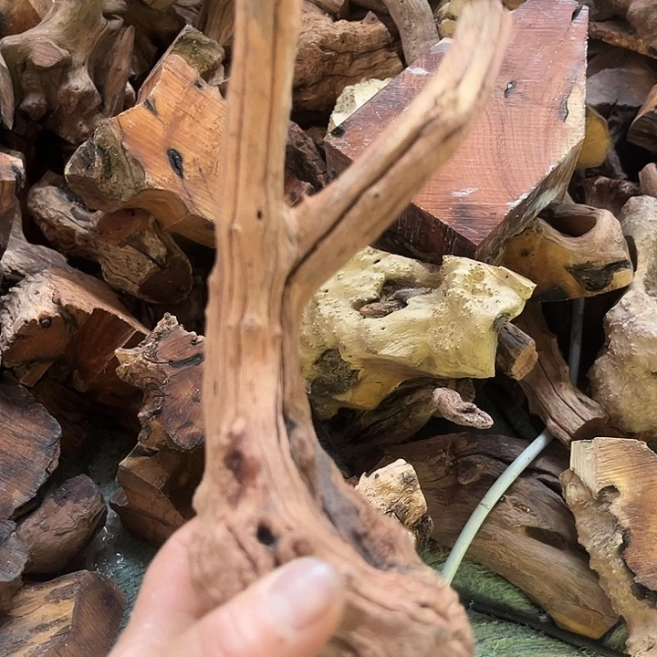 香榧木麻梨的味道真的是很不错