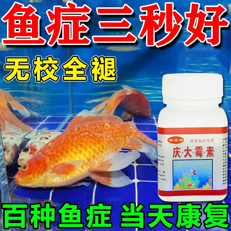 庆大霉素】鱼身充血白毛点烂尾鳃立麟蒙眼趴观赏淡水龙海水鱼可用