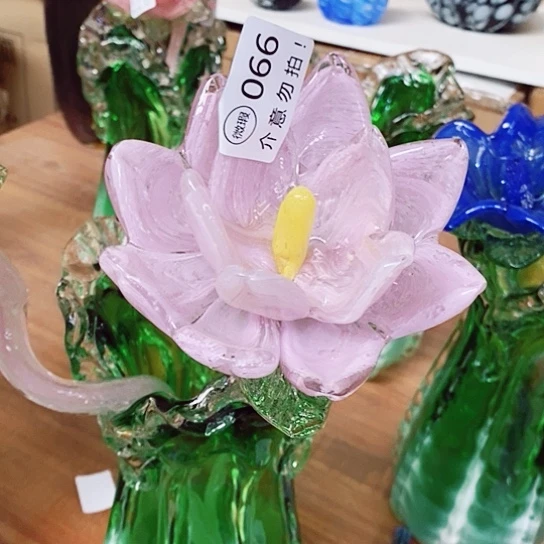 琉璃夜光花高45厘米