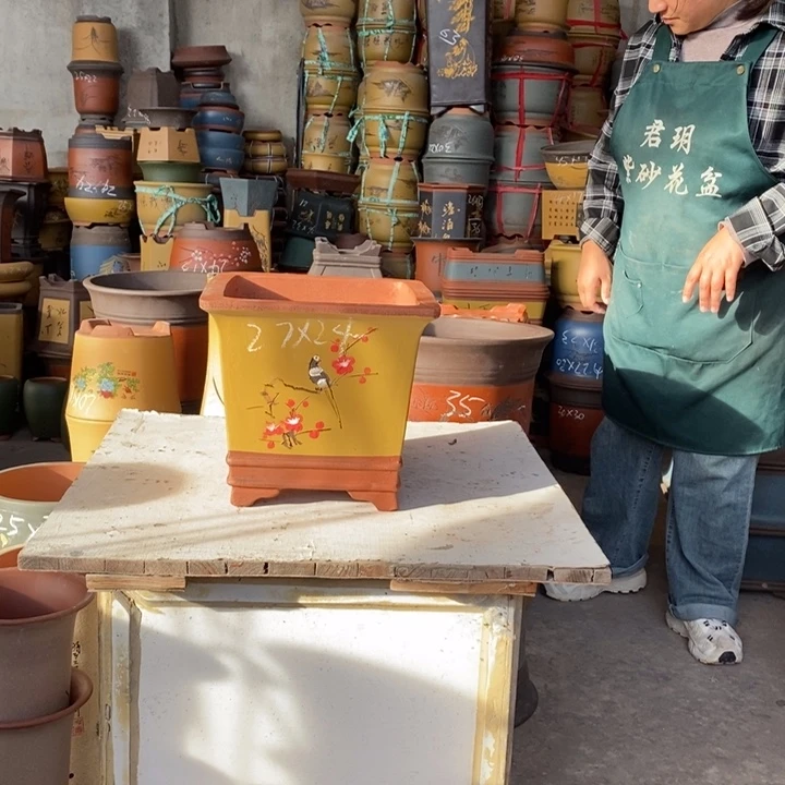 紫砂花盆盆栽花卉苗木种植