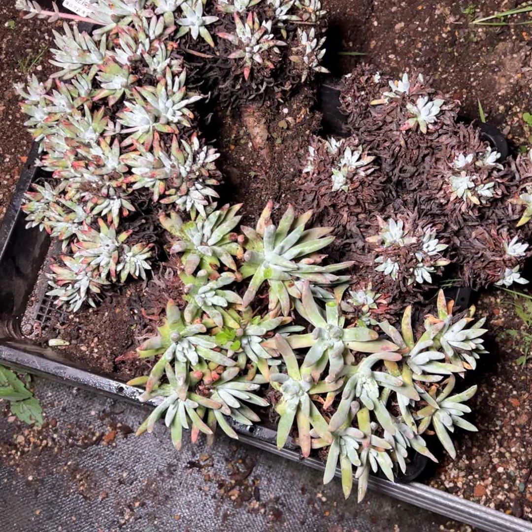 5588哈哈哈哈哈哈哈哈