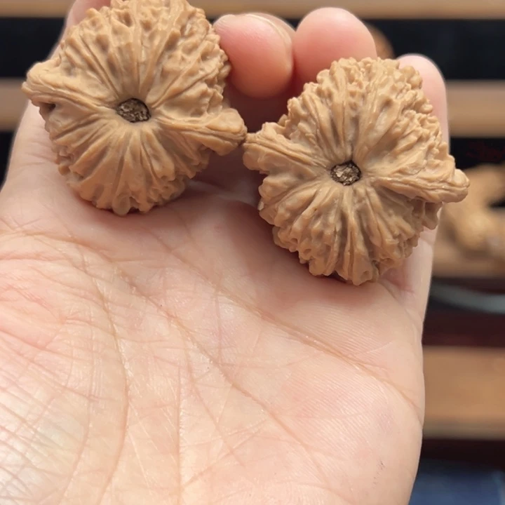 游***、涿鹿南京石文玩核桃