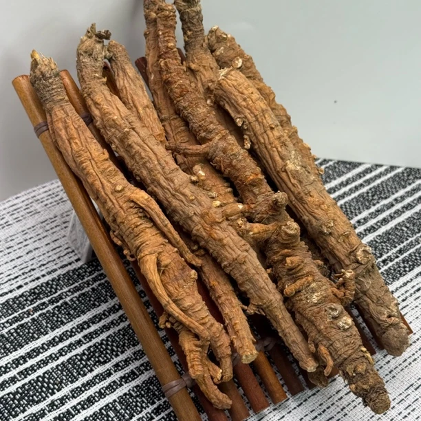 【山地王】党参云南高山优质滋补山货