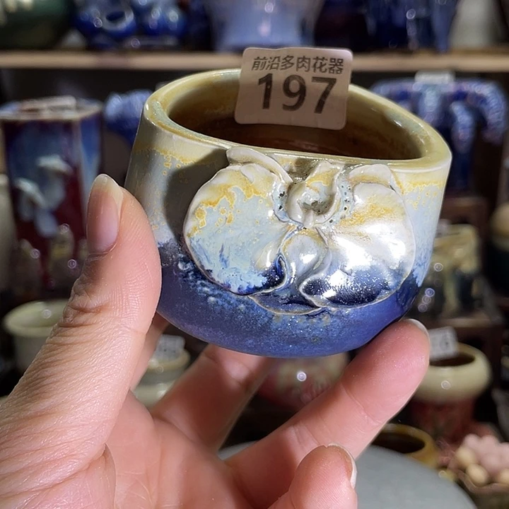 狼盆内口径6高度6