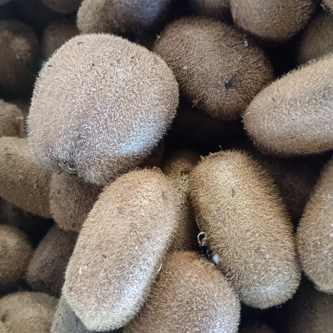 贵州修文贵长绿心猕猴桃新鲜香甜软糯奇异果整箱包邮