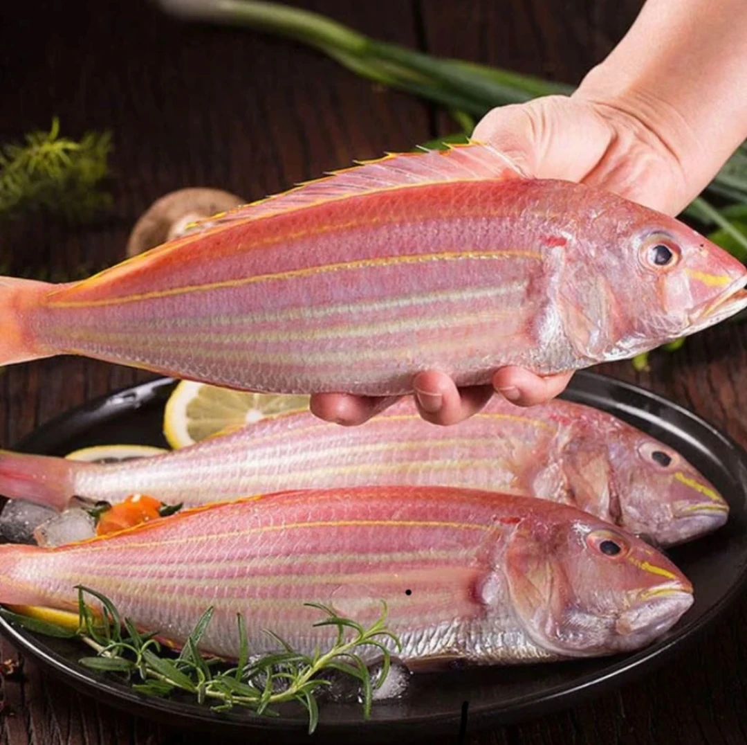 5斤3-4条/斤野生金丝鱼广东茂名博贺渔港顺丰包邮