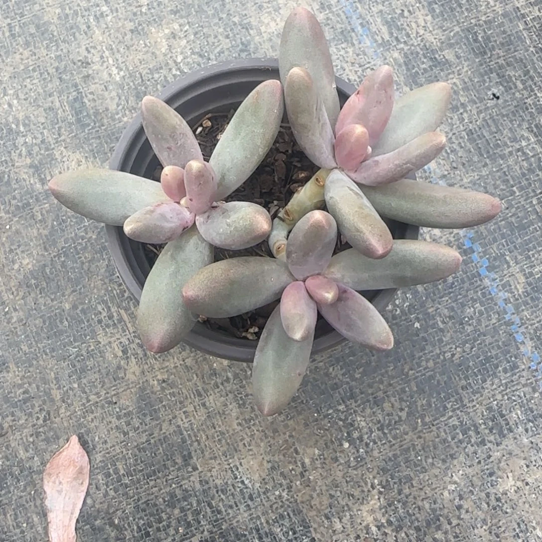 哈哈哈哈哈哈哈哈哈哈