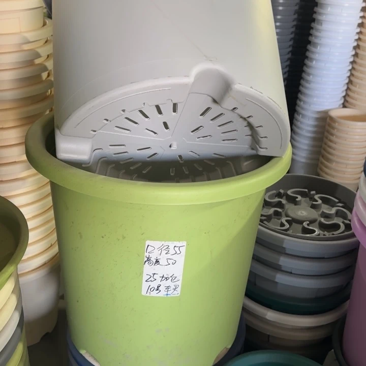 微瑕55口无托果绿2个