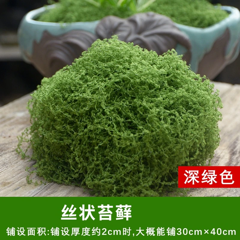 青苔微景观布置摆件草坪盆景盆栽铺面造景仿真苔藓草皮仿生人造假