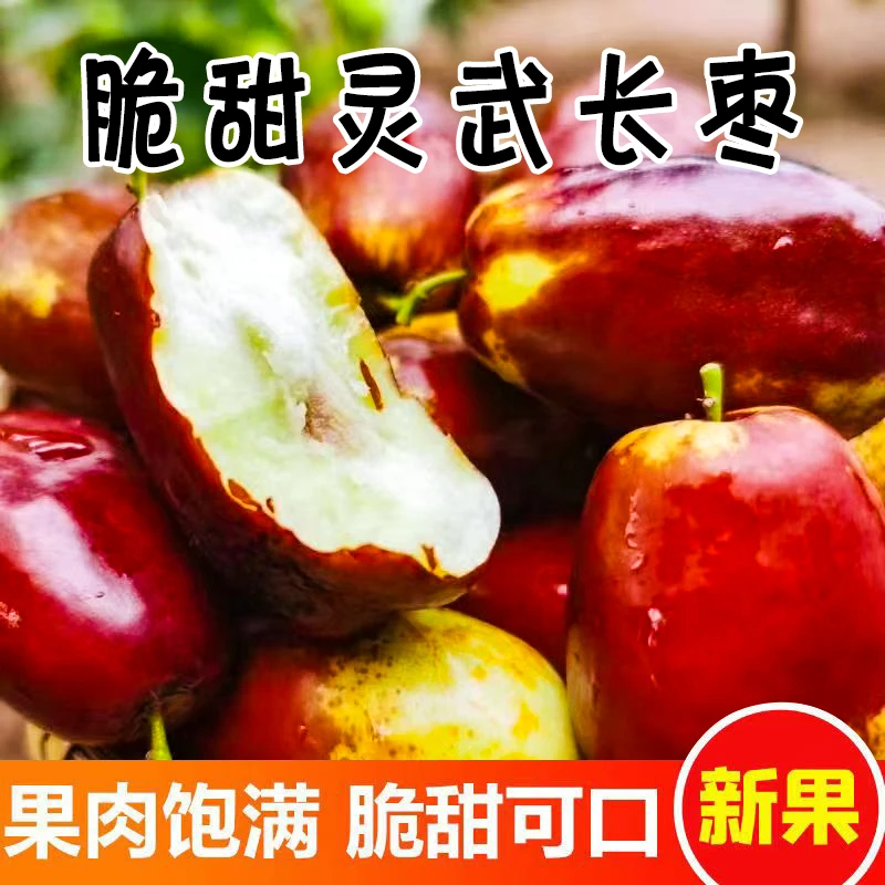 星垄脆甜灵武长红枣脆甜多汁嘎嘣脆新鲜采摘发货温棚鲜枣肉厚核小