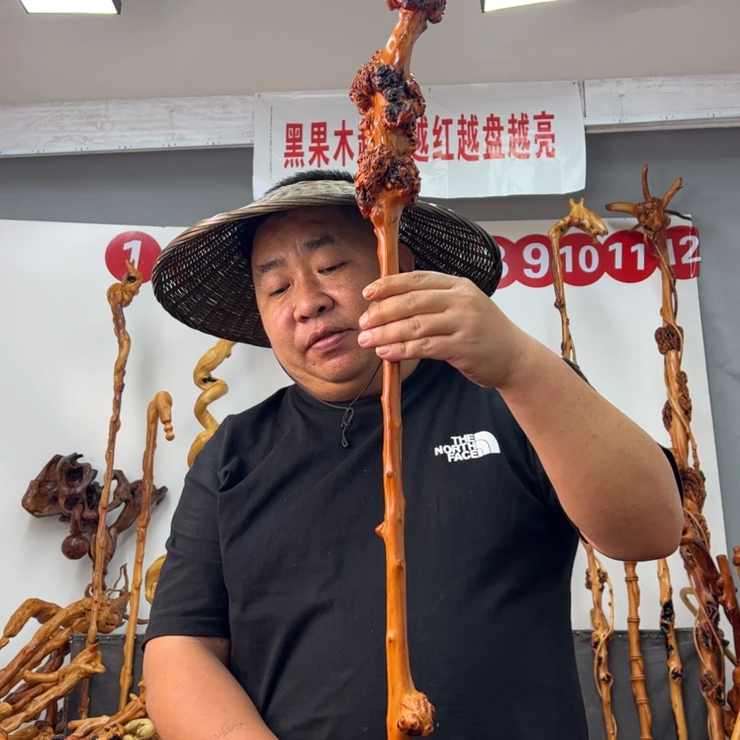 黑果木其他何**鱼黑果木763