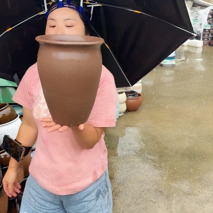 20口26高瑕疵一个盆子。