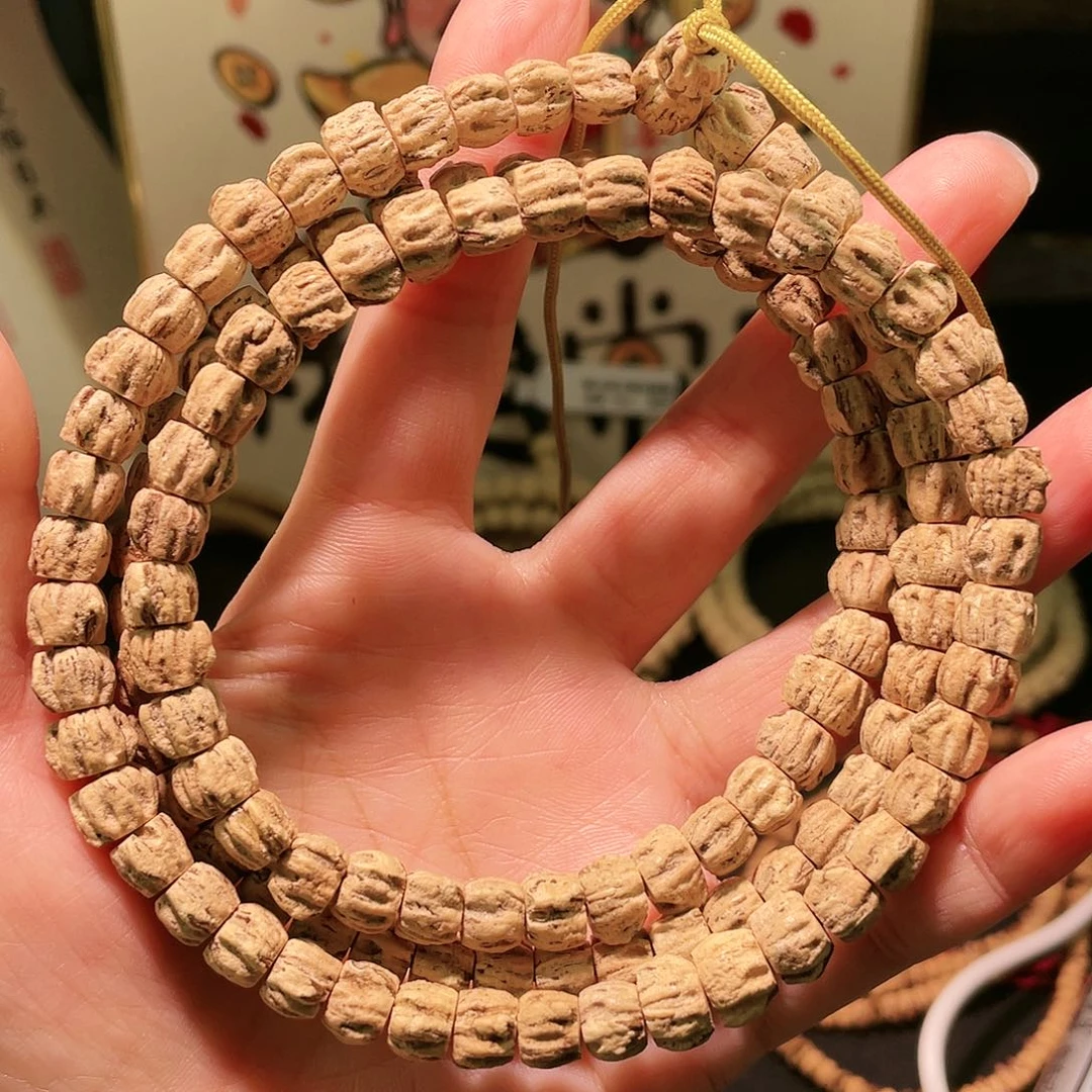 百香籽 藏切 带红牙口