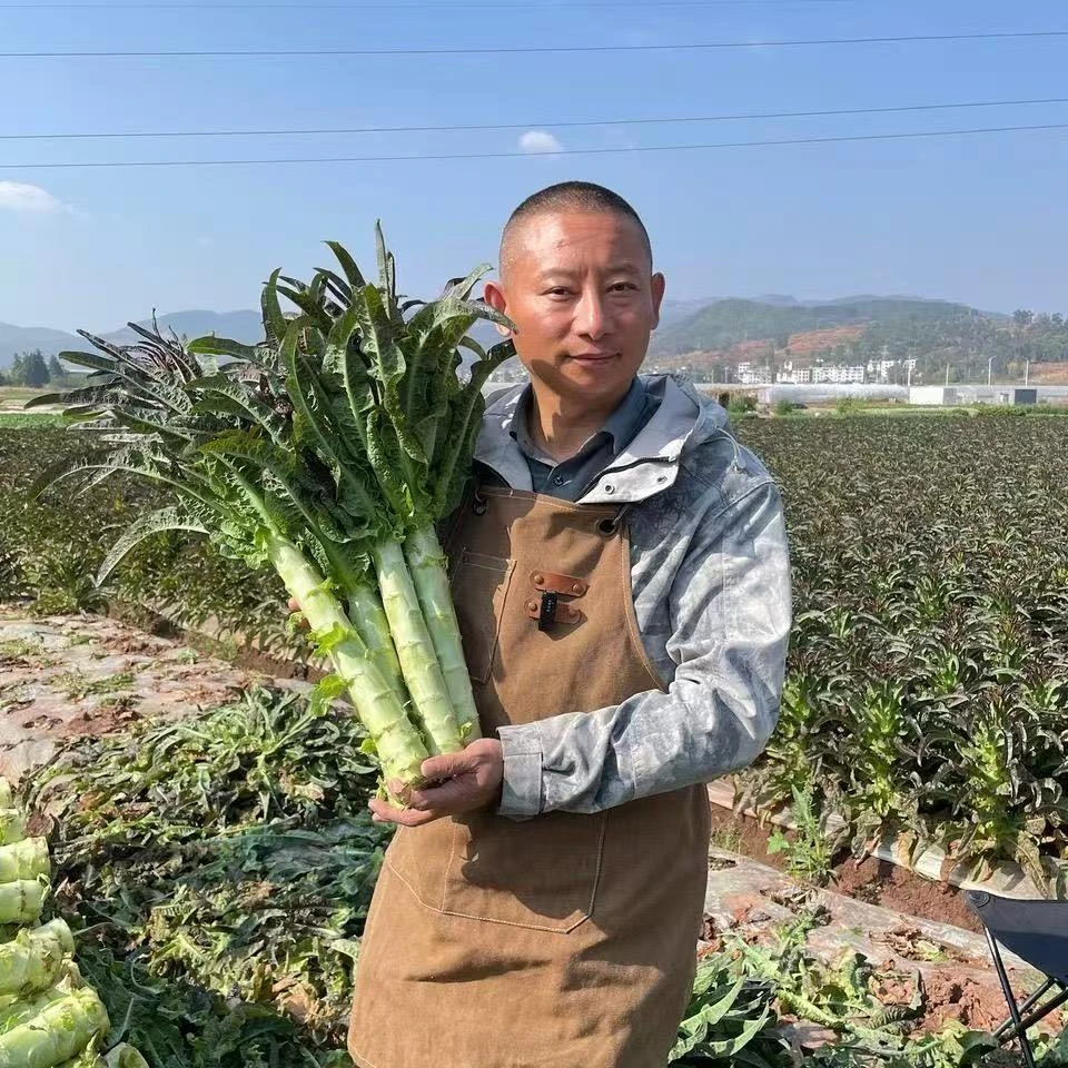 【阿斌生鲜专属】露天新鲜采摘薄皮绿肉香笋