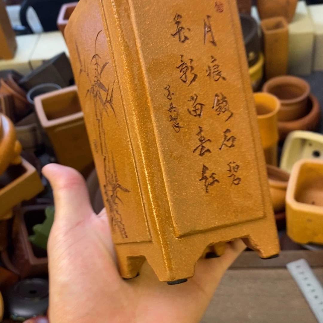 vvvvvvvvvvvvvvvv6.5×14