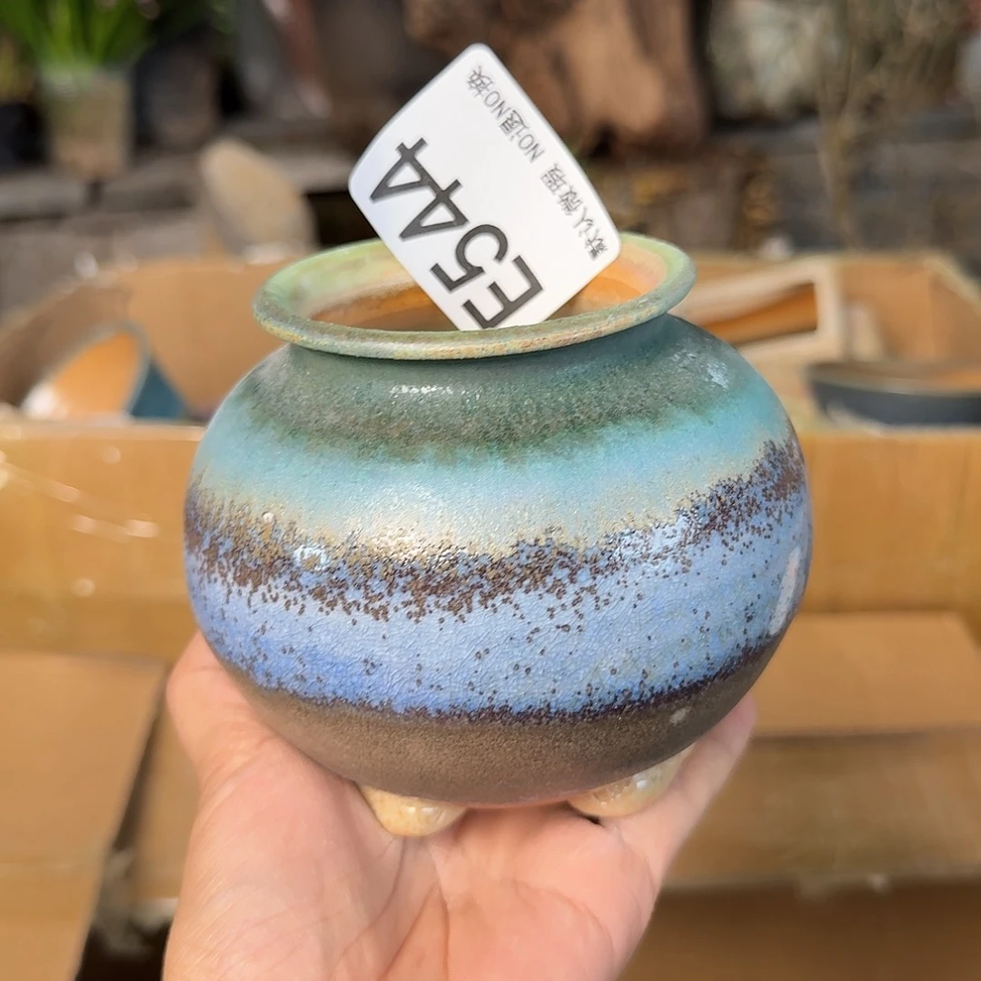 重庆小燕子欢迎大家544