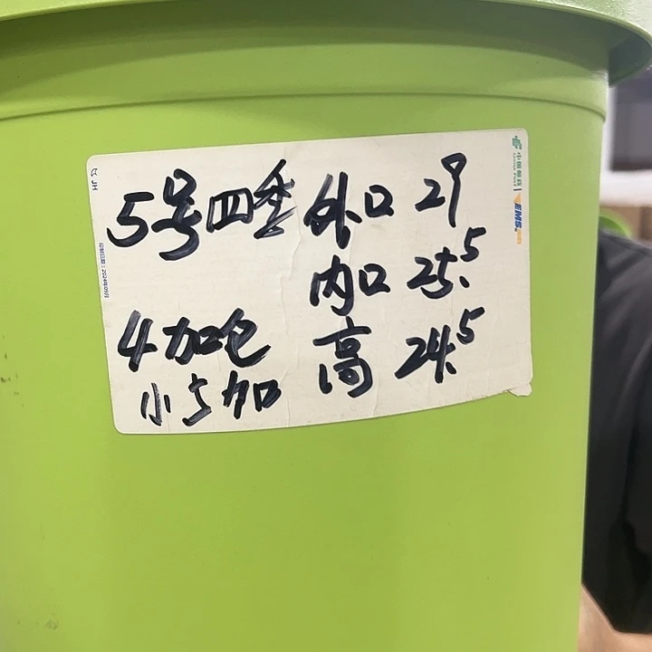 特价5号四季口29高24混色5个无托