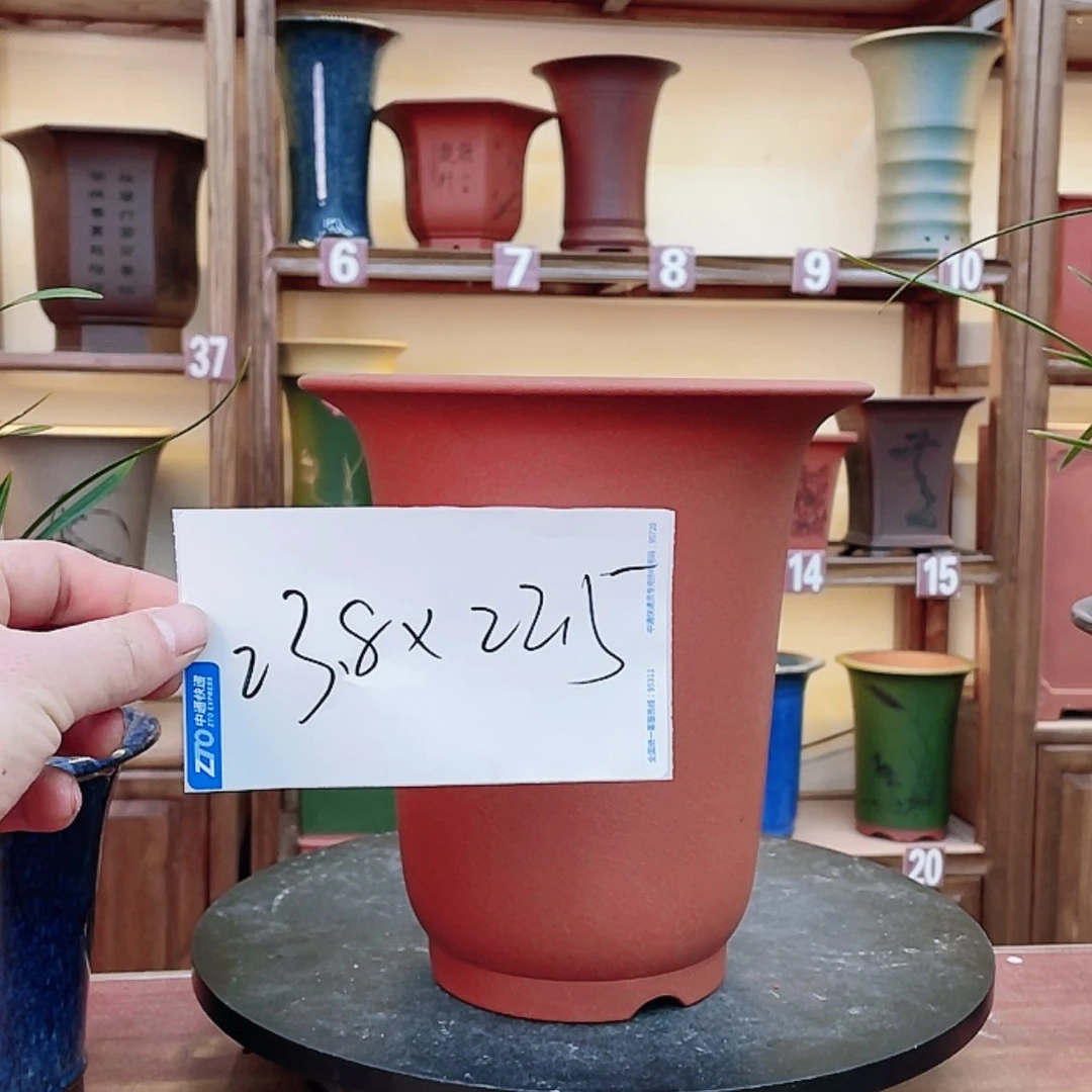 【闪购商品】紫砂花盆兰花455688856636555556