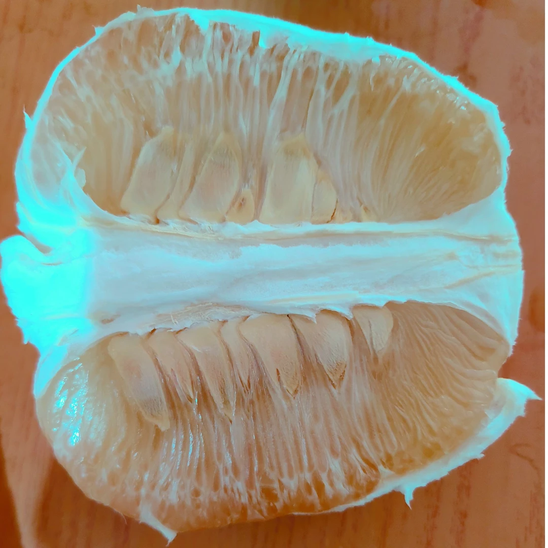 40斤沙田柚柚子梅州金柚