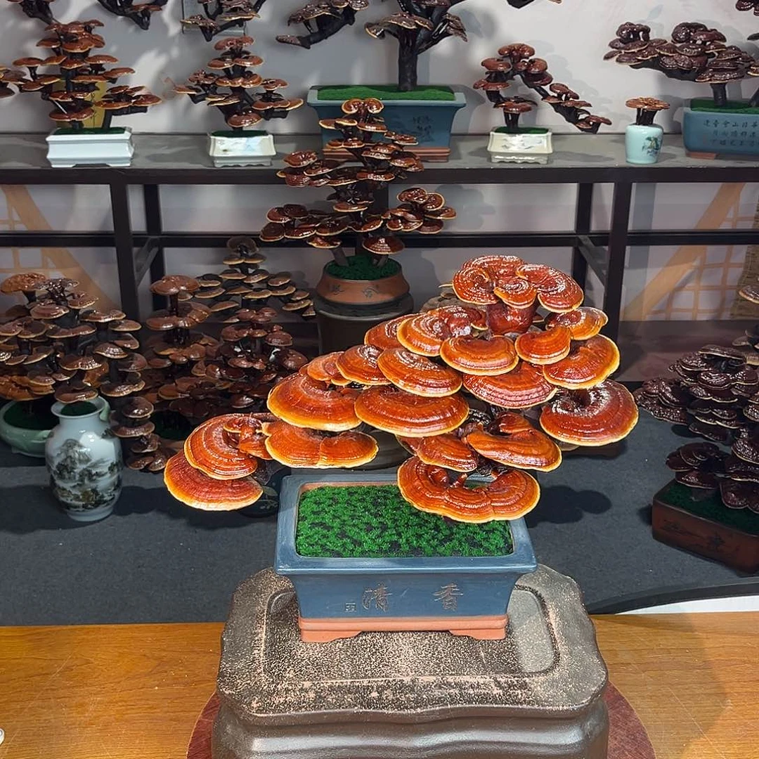 无花朵万事如意888888888888