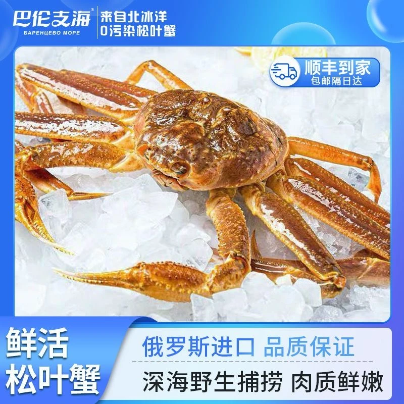 （现场称重）俄罗斯松叶蟹板蟹 保鲜不包活 东三省包邮