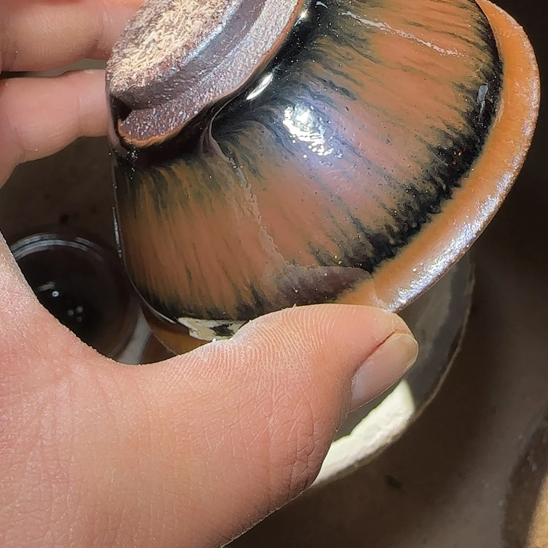 柒***捌茶盏福利特价活动开始5