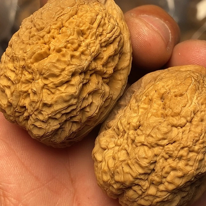 文玩核桃把件云南铁核桃79