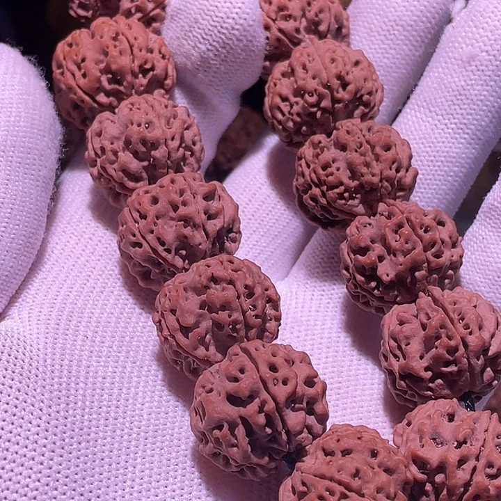 P****金刚菩提手串古龙梅花22