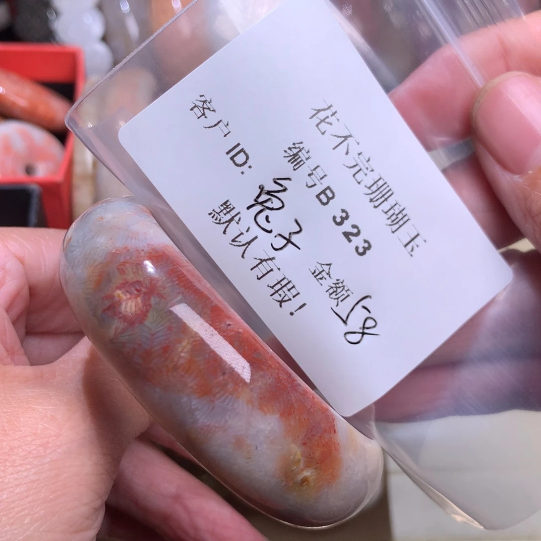硅化玉颈饰未镶嵌乌****子