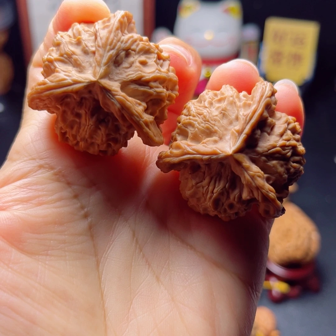 核桃盘山肉球正奔