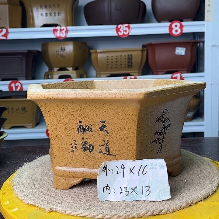 紫砂花盆我也是我