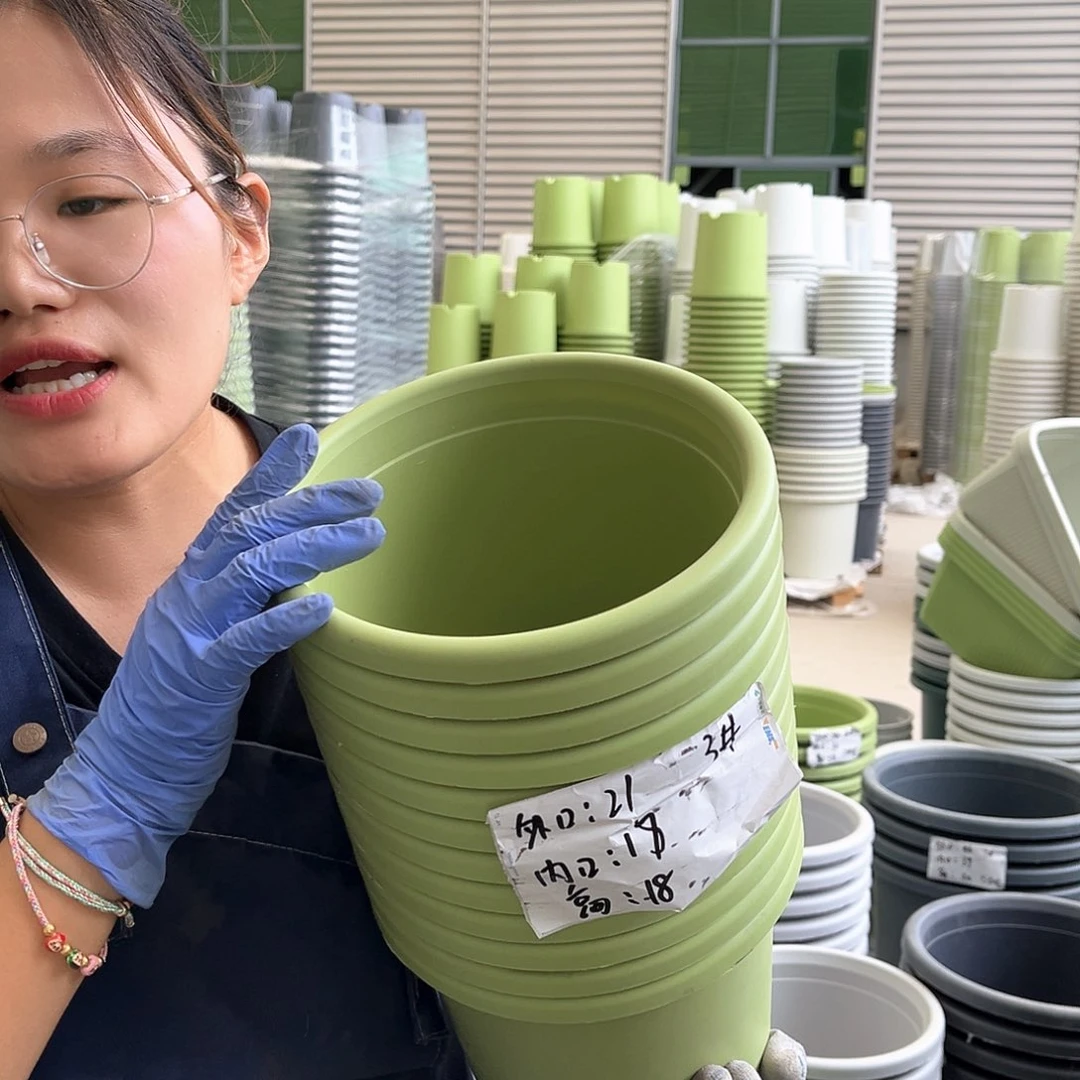 四季盆3#果绿色10无托