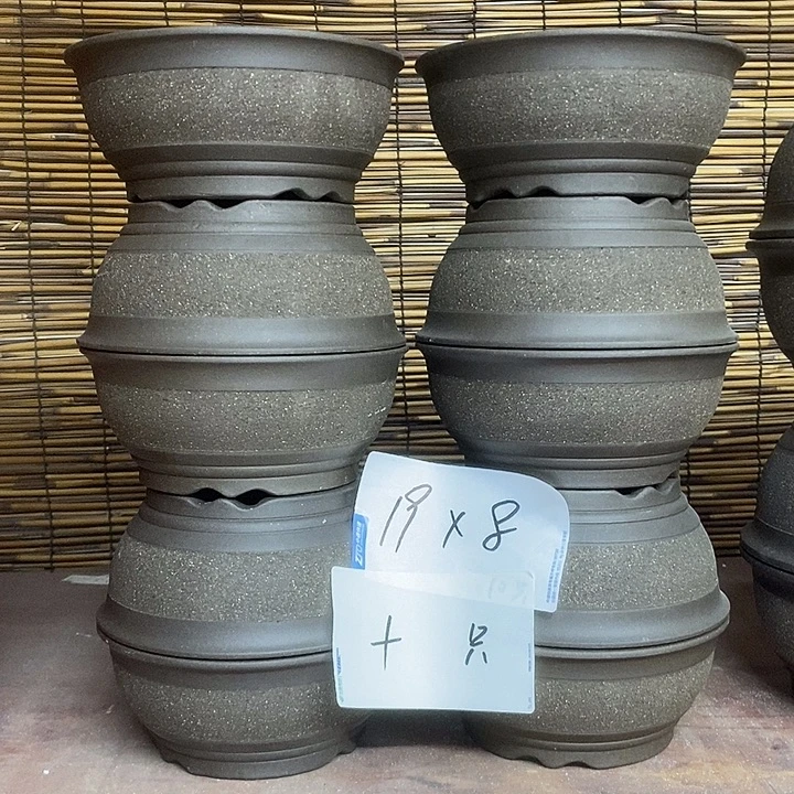 花盆紫砂我在外面