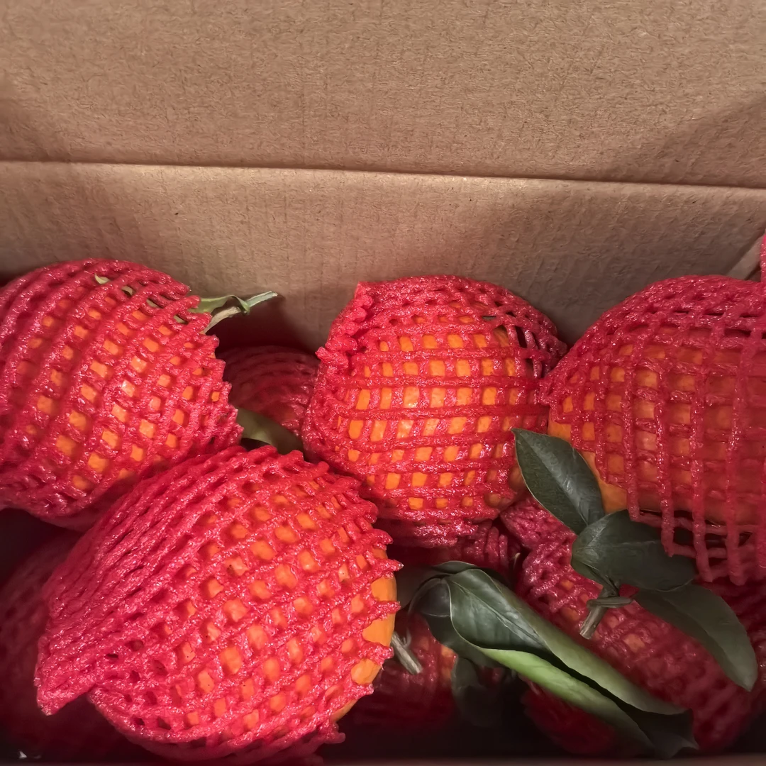 【京东包邮】果冻橙应季柑橘水果含箱5Kg±100g