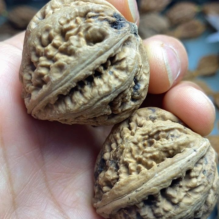 橄榄核把件拿姐好美9